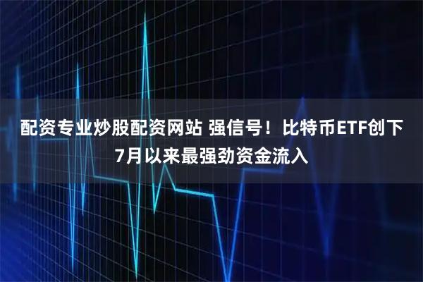配资专业炒股配资网站 强信号！比特币ETF创下7月以来最强劲资金流入